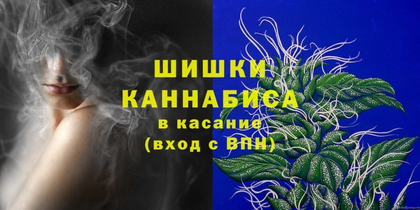 дурь Дмитриев