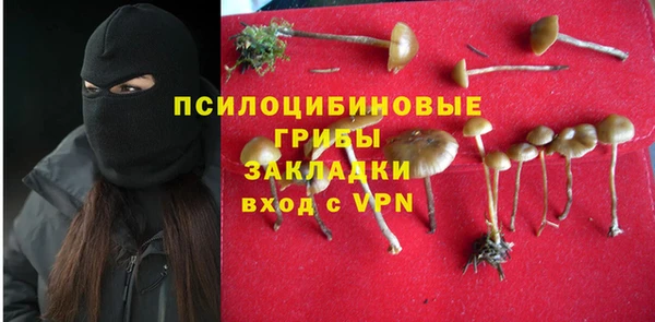 МДПВ Алзамай