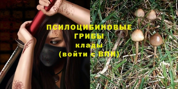 apvp Козельск
