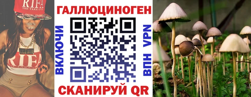 Галлюциногенные грибы Psilocybine cubensis  Учалы 